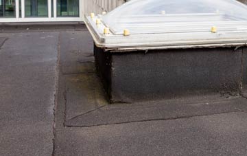 disadvantages of Leanach flat roofs
