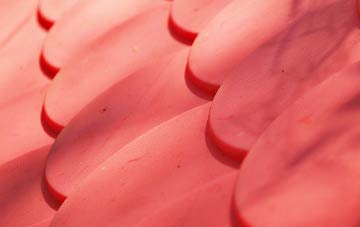 Leanach plastic roof costs