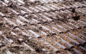 Leanach roof cleaning companies