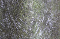 Leanach fibreglass roof work